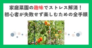 家庭菜園の趣味でストレス解消！初心者が失敗せず楽しむための全手順