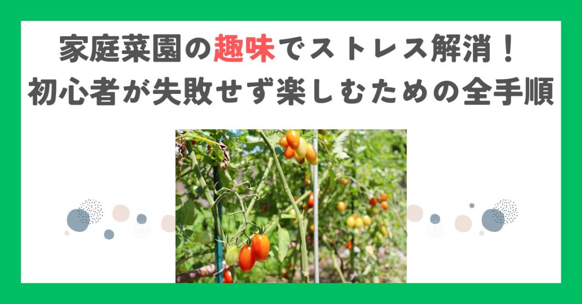 家庭菜園の趣味でストレス解消！初心者が失敗せず楽しむための全手順