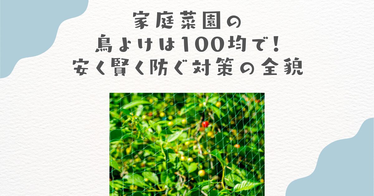 家庭菜園の鳥よけは100均で！安く賢く防ぐ対策の全貌