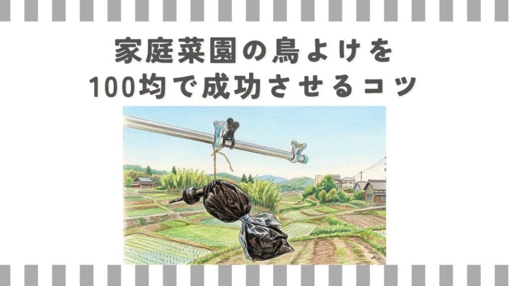 家庭菜園の鳥よけを100均で成功させるコツ