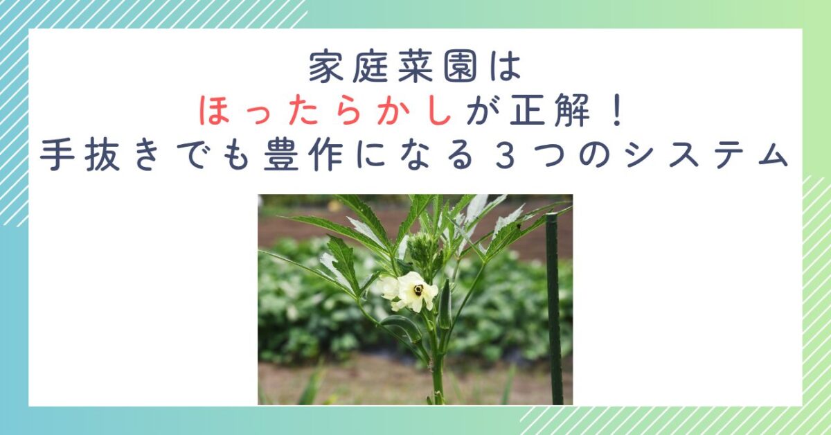 家庭菜園はほったらかしが正解！手抜きでも豊作になる３つのシステム