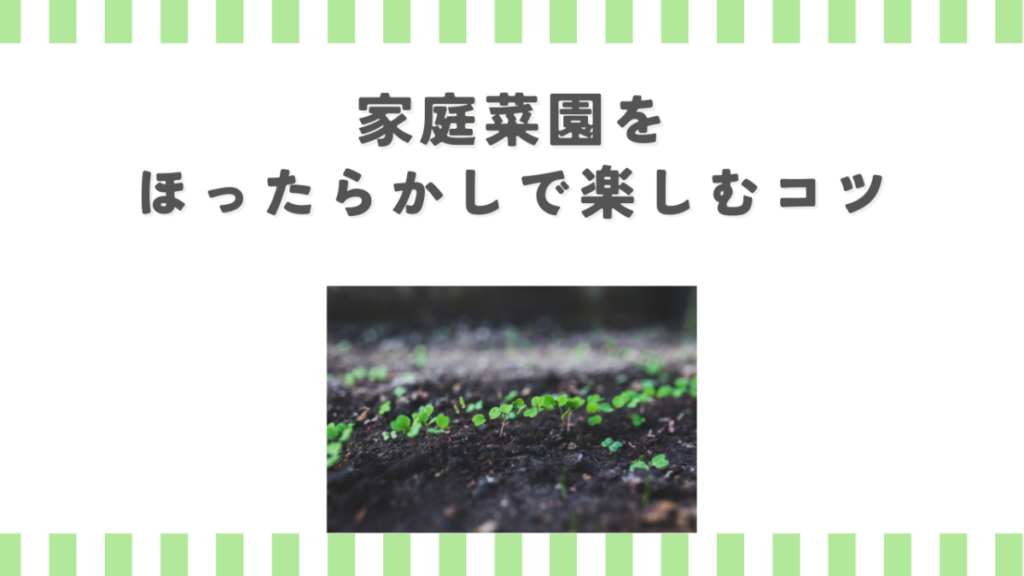 家庭菜園をほったらかしで楽しむコツ