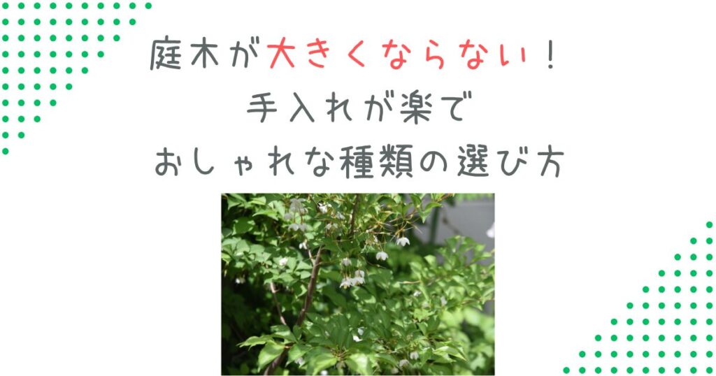 庭木が大きくならない！手入れが楽でおしゃれな種類の選び方