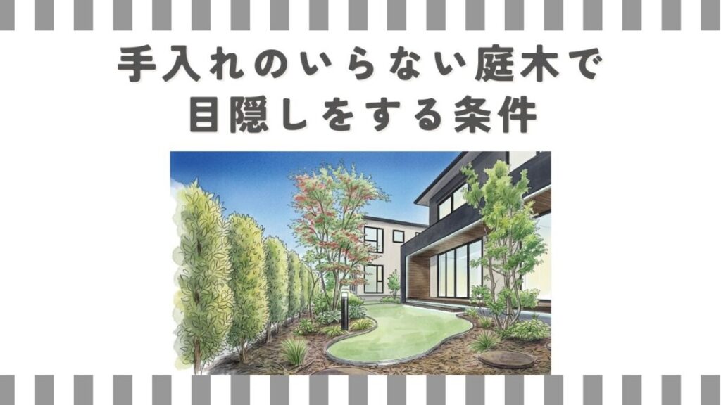 手入れのいらない庭木で目隠しをする条件