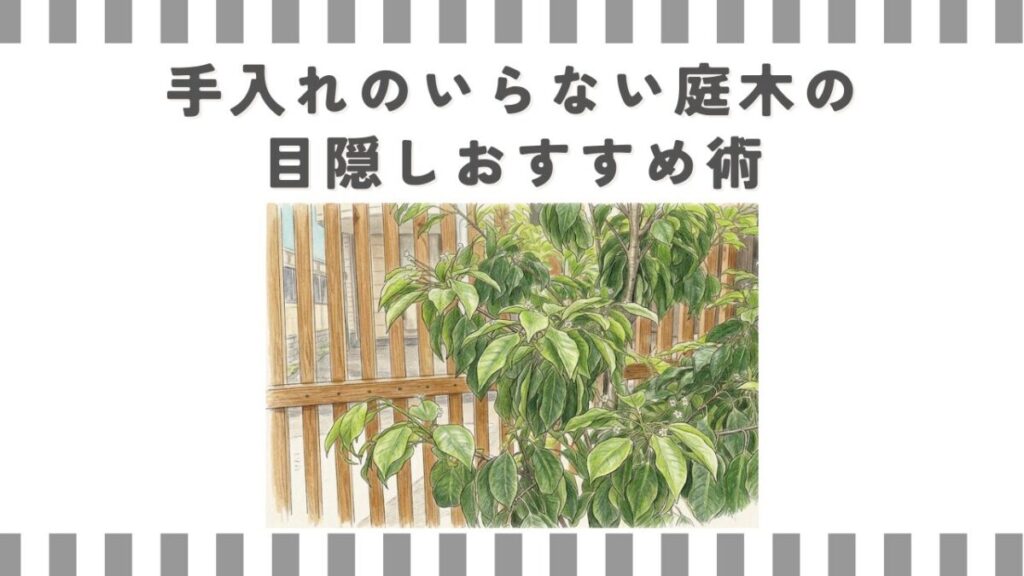 手入れのいらない庭木の目隠しおすすめ術