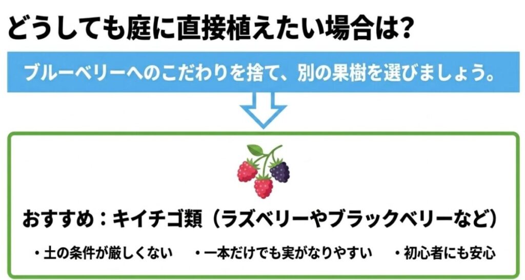 どうしても庭に直接植えたい場合は？ブルーベリーへのこだわりを捨て、ラズベリーやブラックベリーなどキイチゴ類をおすすめする解説