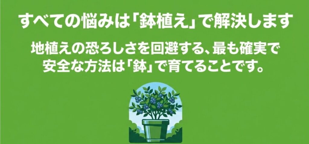 ブルーベリー：すべての悩みは「鉢植え」で解決します。地植えの恐ろしさを回避する最も確実で安全な方法は鉢で育てることという解説