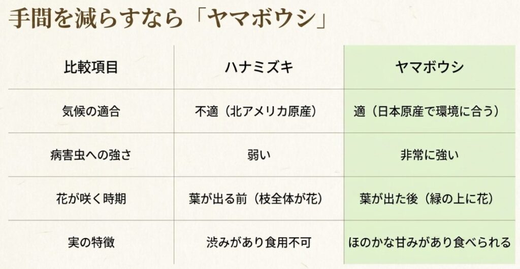 ハナミズキとヤマボウシの育てやすさや病害虫への強さの比較表