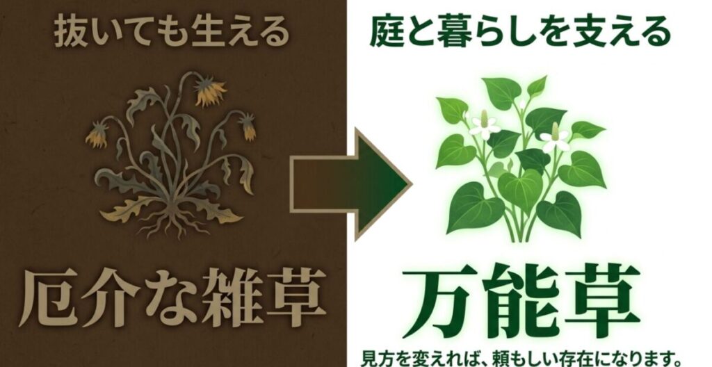 左側に抜いても生える厄介な雑草、右側に庭と暮らしを支える万能草としてドクダミのイラストを対比させ、「見方を変えれば、頼もしい存在になります」と解説するスライド。