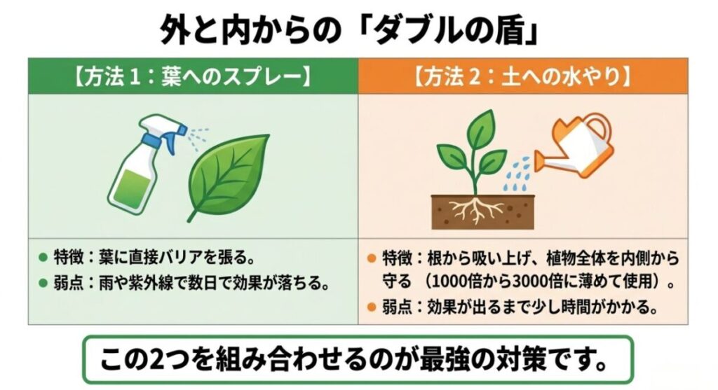 葉面散布と土壌灌注によるカメムシ防除のダブル対策