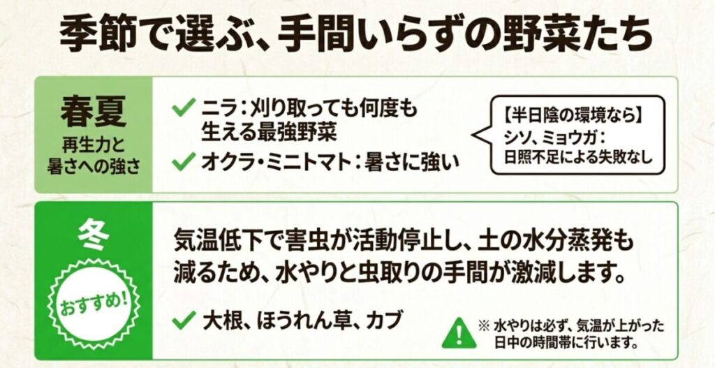家庭菜園:季節で選ぶ手間いらずの野菜たち。春夏はニラやオクラ、冬は大根やほうれん草などがおすすめ