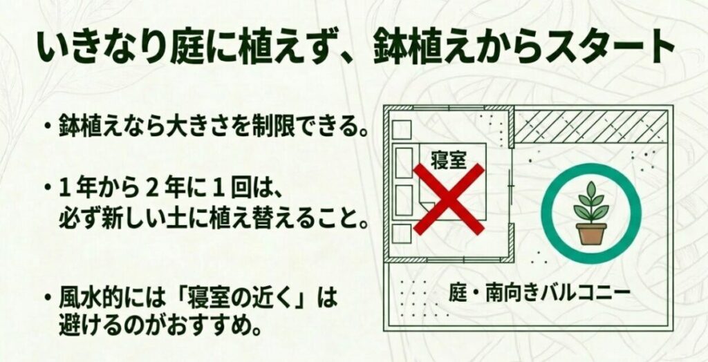 ユーカリ:いきなり庭に植えず鉢植えからスタートし、大きさを制限することの推奨。また、寝室を避け、庭や南向きバルコニーなど風水的に適した配置を示す図。