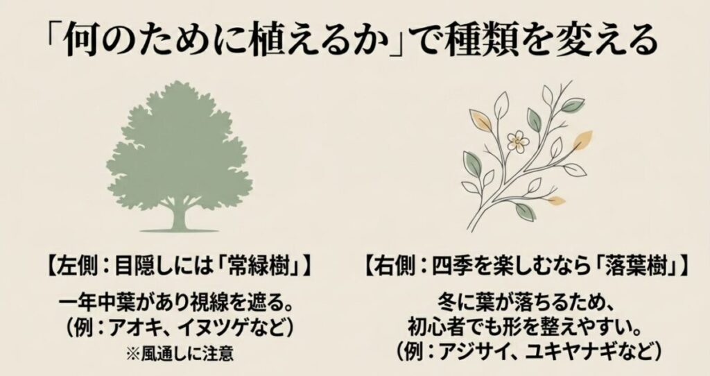 大きくならない庭木：目隠しには一年中葉がある常緑樹、四季を楽しむなら初心者でも形を整えやすい落葉樹を選ぶ