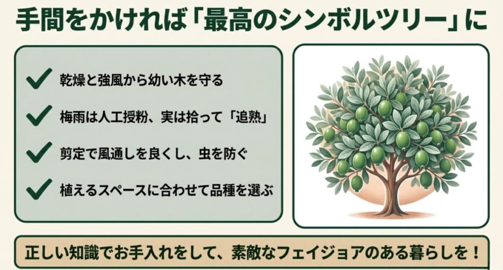 フェイジョア：最高のシンボルツリーに育てるための乾燥対策や人工授粉などの重要チェックリスト