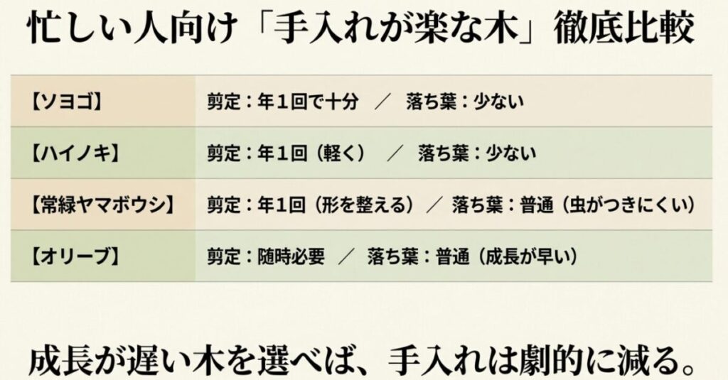 大きくならない庭木：成長が遅い木を選べば手入れは劇的に減るという、ソヨゴ、ハイノキ、常緑ヤマボウシ、オリーブの剪定頻度と落ち葉の量の比較