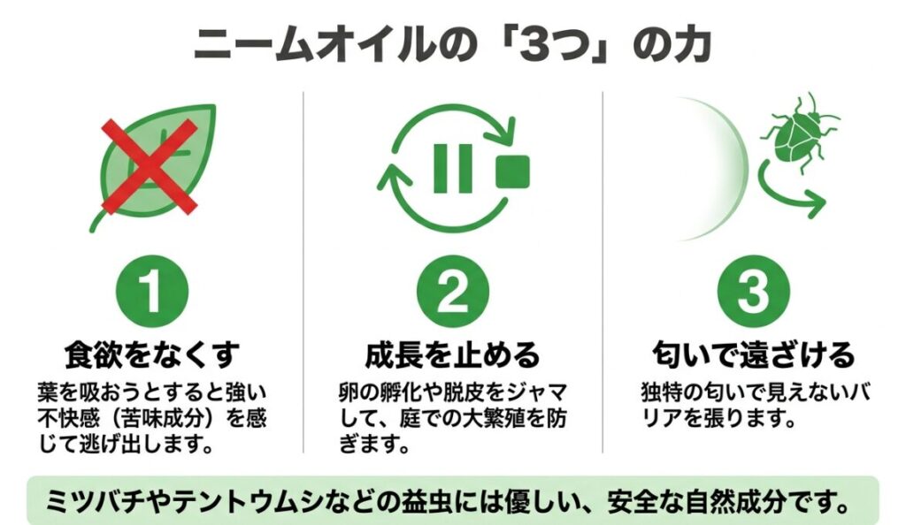 ニームオイルがカメムシ対策に効く3つのメカニズム