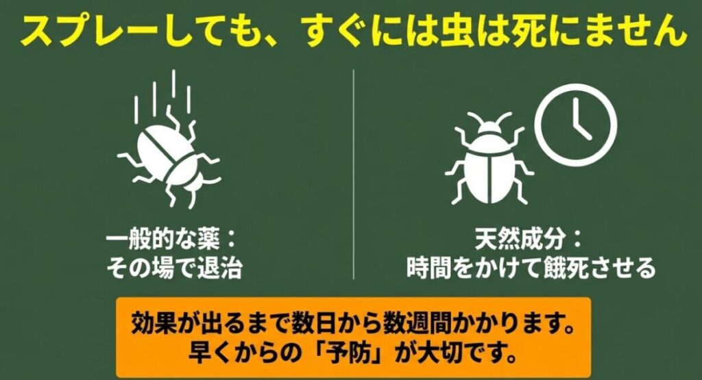 一般的な薬とは異なり、ニームオイルは時間をかけてアブラムシを餓死させる遅効性があるという解説