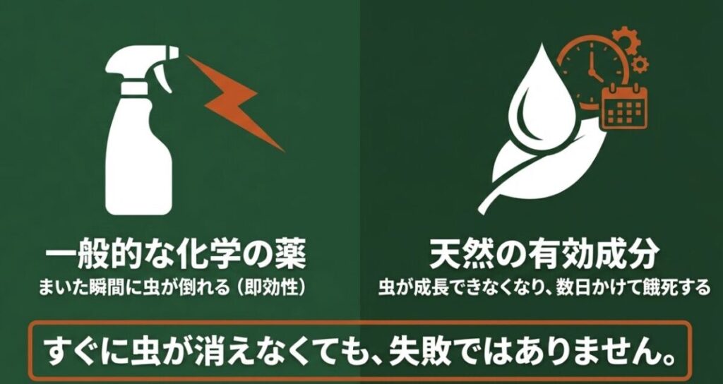 ニームオイル:一般的な化学農薬の即効性と比較し、天然成分は虫が成長できなくなり数日かけて餓死するため、すぐに消えなくても失敗ではないことを解説するスライド。