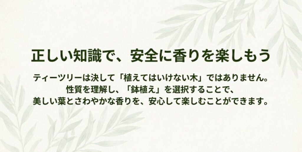 正しい知識で、安全に香りを楽しもう。ティーツリーは決して「植えてはいけない木」ではなく、鉢植えを選択することで安心して楽しむことができます