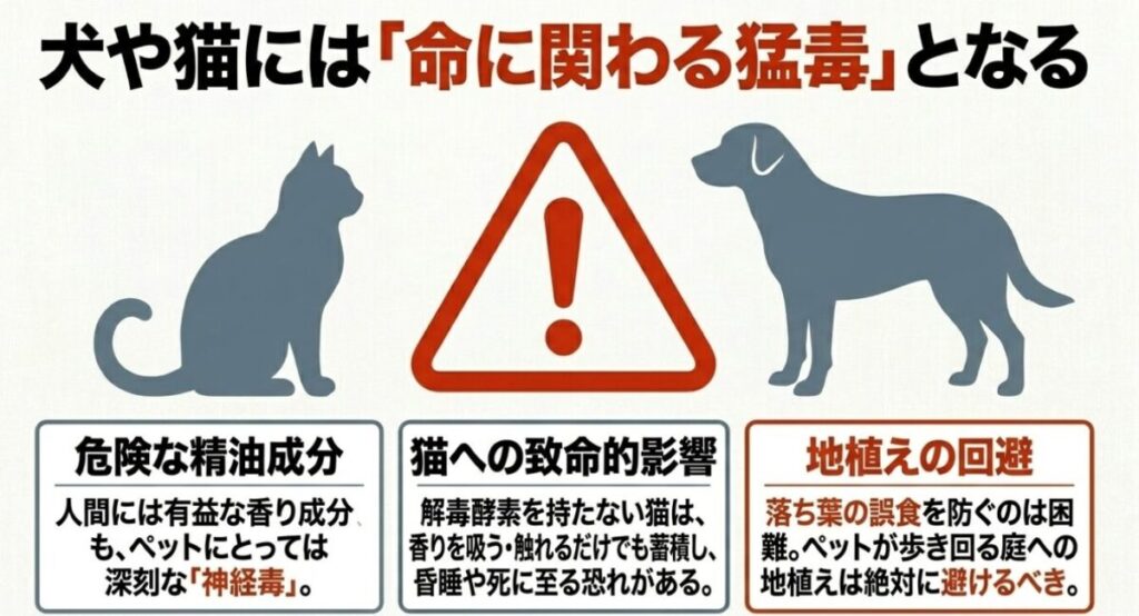 犬や猫には「命に関わる猛毒」となるティーツリー。危険な精油成分、解毒酵素を持たない猫への致命的影響、ペットがいる庭への地植え回避について