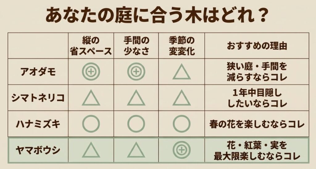 あなたの庭に合う木はどれ?。アオダモ、シマトネリコ、ハナミズキ、ヤマボウシの特徴とおすすめの理由の比較表。