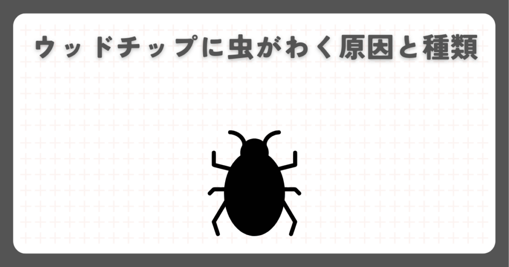 ウッドチップに虫がわく原因と種類