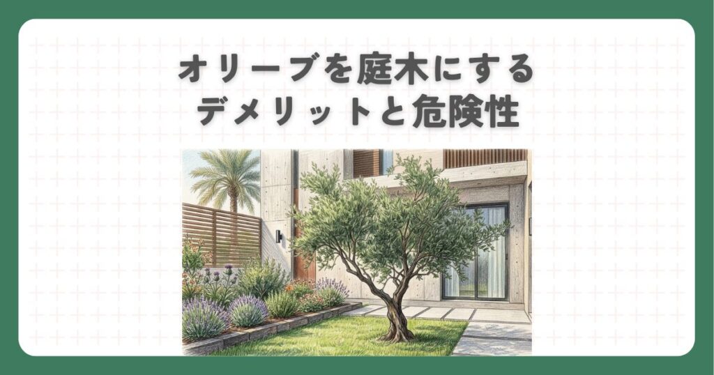 オリーブを庭木にするデメリットと危険性
