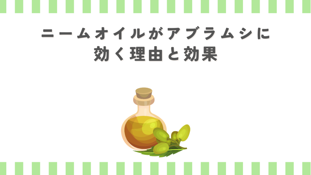 ニームオイルがアブラムシに効く理由と効果