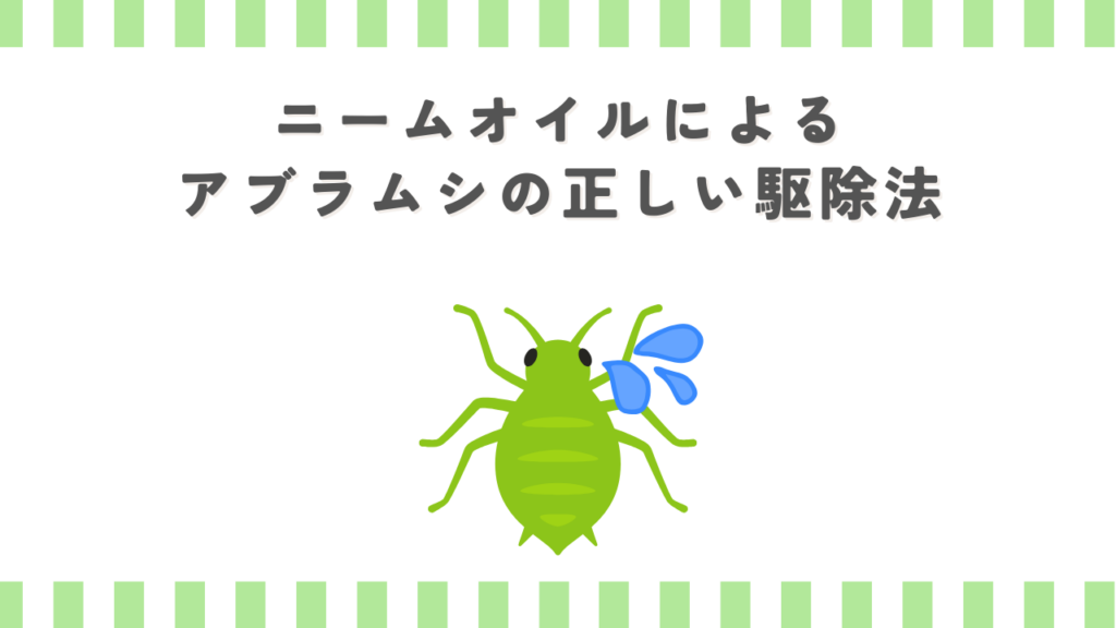 ニームオイルによるアブラムシの正しい駆除法