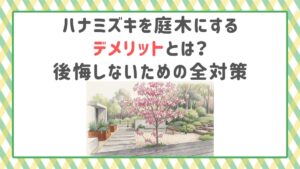 ハナミズキを庭木にするデメリットとは？後悔しないための全対策