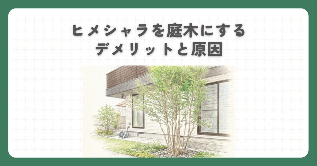 ヒメシャラを庭木にするデメリットと原因