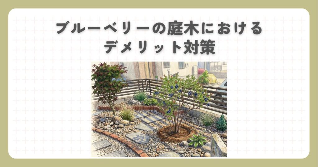 ブルーベリーの庭木におけるデメリット対策