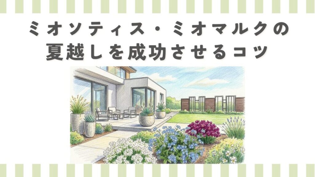 ミオソティス・ミオマルクの夏越しを成功させるコツ