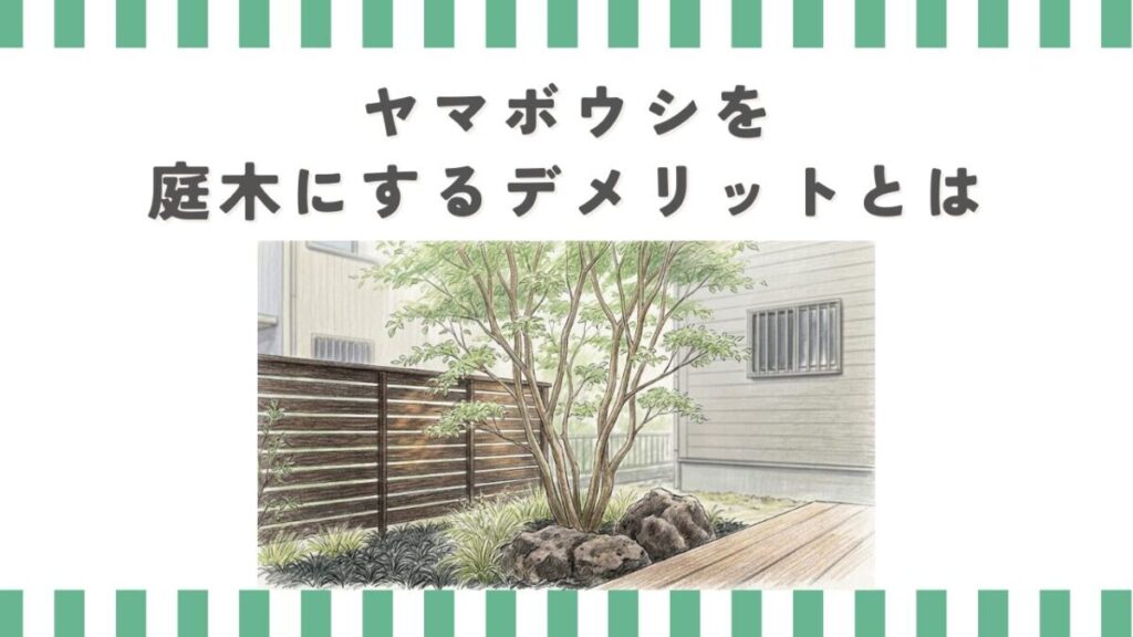ヤマボウシを庭木にするデメリットとは