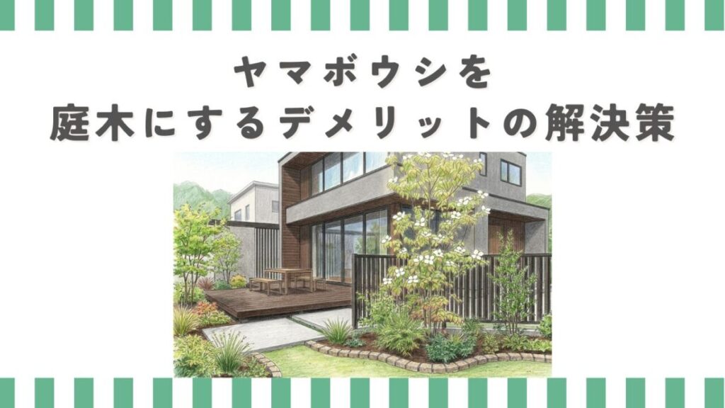 ヤマボウシを庭木にするデメリットの解決策