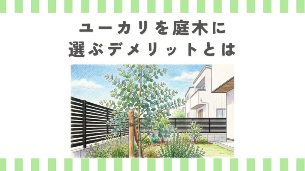 ユーカリを庭木に選ぶデメリットとは