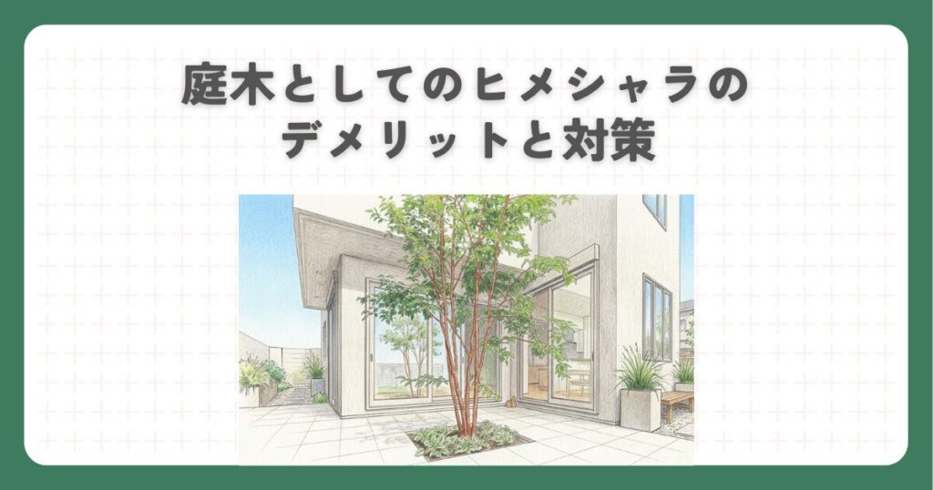 庭木としてのヒメシャラのデメリットと対策