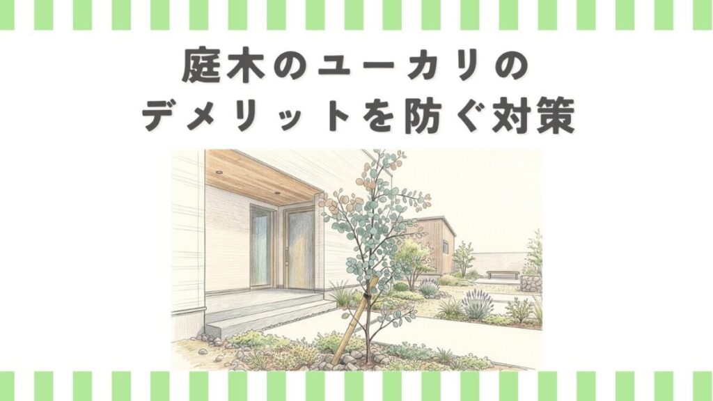 庭木のユーカリのデメリットを防ぐ対策