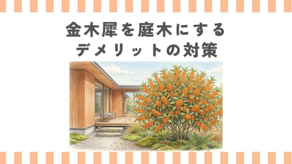 金木犀を庭木にするデメリットの対策