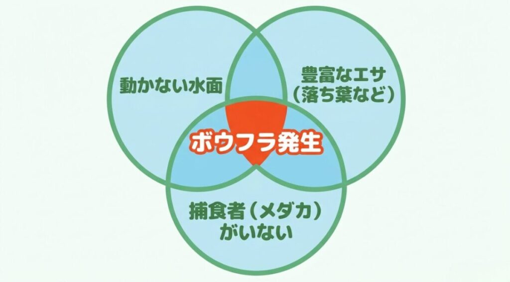 動かない水面、落ち葉などの豊富な餌、メダカがいない環境が重なるとボウフラが発生しやすいことを示す図