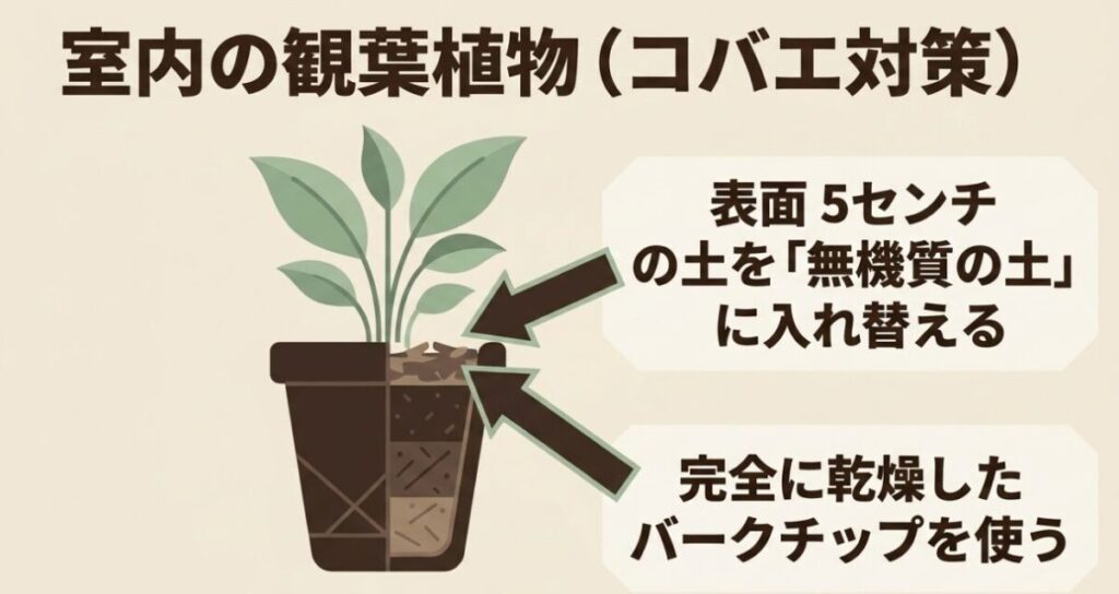 室内の観葉植物のコバエ対策。表面5センチの土を無機質の土に入れ替える。完全に乾燥したバークチップを使う。