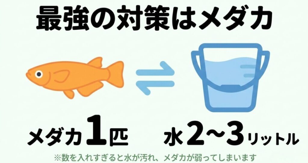メダカ1匹に対して水2〜3リットル以上を目安とし、過密飼育を避けることを示したスライド