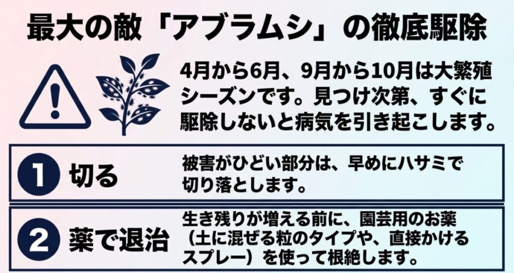 ミオソティス・ミオマルク：アブラムシの大繁殖シーズンと、被害部分の切り落としや殺虫剤を使った徹底駆除の方法。