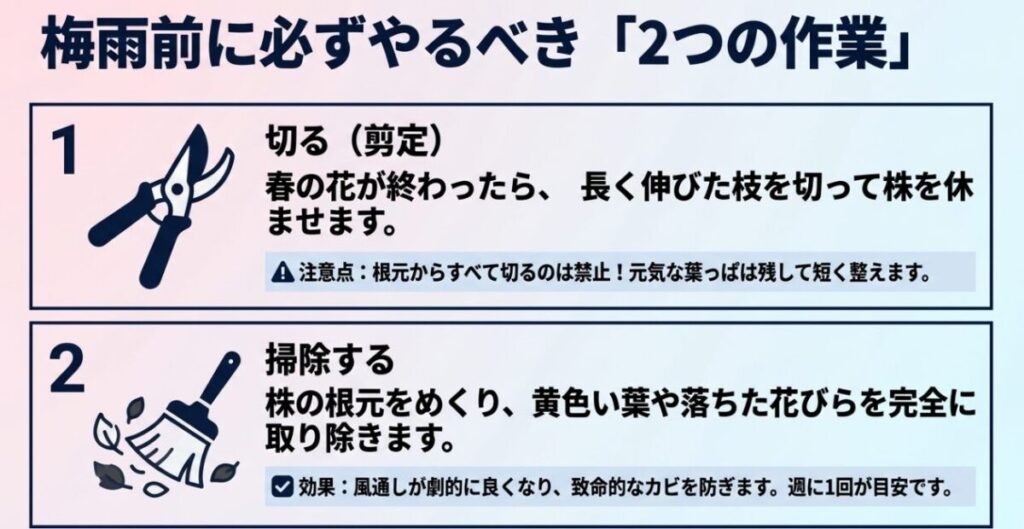 ミオソティス・ミオマルク：梅雨前に必ずやるべき2つの作業として、ハサミを使った剪定（切る）と、株元の掃除を解説。