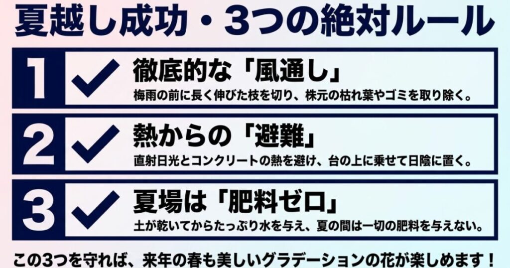 ミオソティス・ミオマルク：夏越し成功のための3つのルールである、徹底的な風通し、熱からの避難、夏場は肥料ゼロのまとめ。