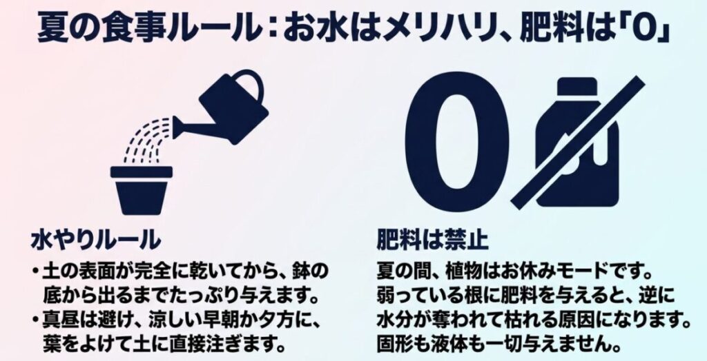 ミオソティス・ミオマルク：夏の食事ルールとして、水やりは土が乾いてからたっぷりと与えるメリハリをつけ、肥料は一切与えないことを示す解説。