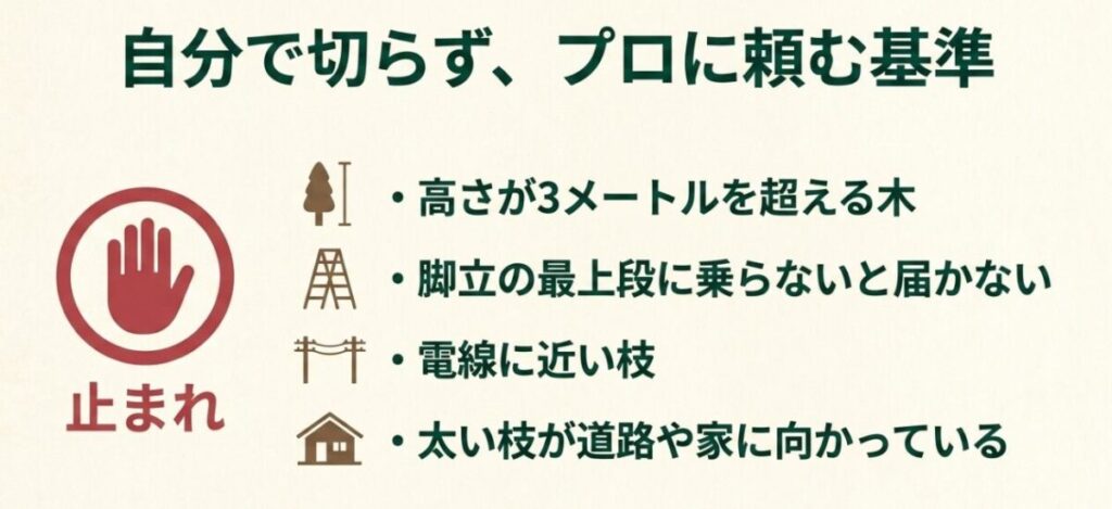 高さ3メートル超の木、脚立の高所作業、電線付近の枝、道路や家に向かう太枝をプロに頼む基準