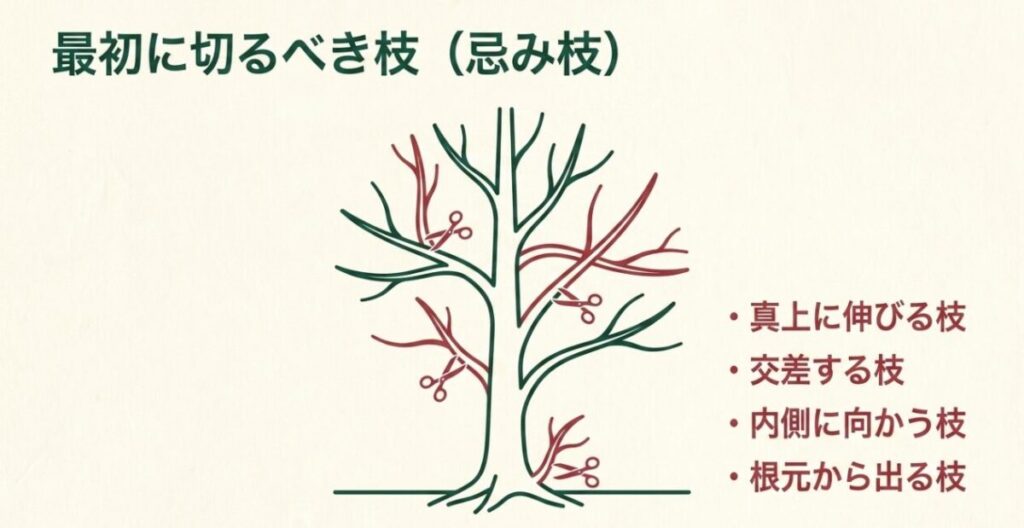 真上に伸びる枝、交差する枝、内側に向かう枝、根元から出る枝を赤色で示した庭木の忌み枝の図
