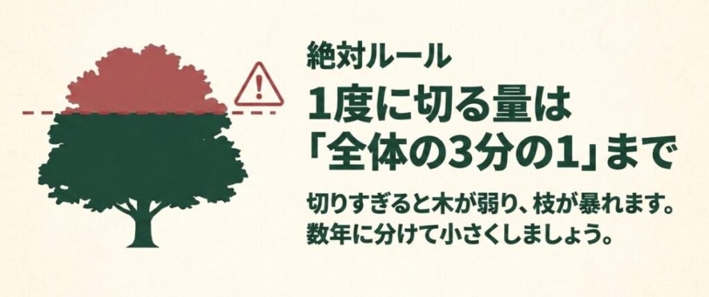 庭木の枝葉を一度に切る量を全体の3分の1以内に抑え、数年に分けて小さくする考え方