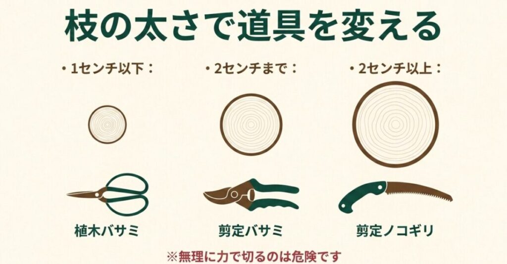 細枝には植木バサミ、中程度の枝には剪定バサミ、太枝には剪定ノコギリを使う目安